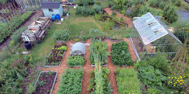 Vera Greutink geeft workshop in de moestuin